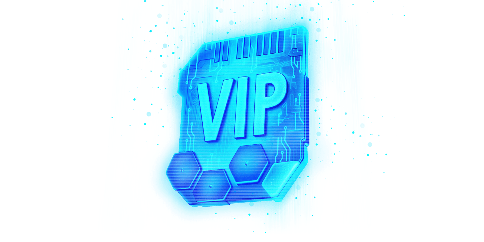 Programma VIP Ninlay